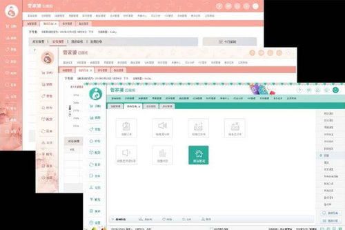 服裝店軟件管理榮昌管家婆服裝門店管理系統